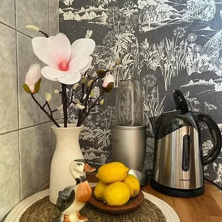 Cozy&arty House With Garden&parking- In The Centre Apartment Banja Luka